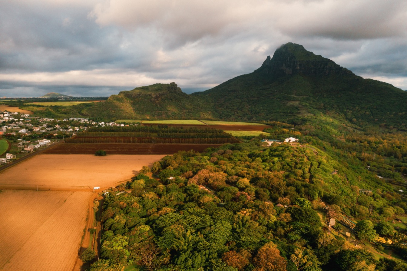 Vue aérienne des champs et collines verdoyantes de l'île Maurice