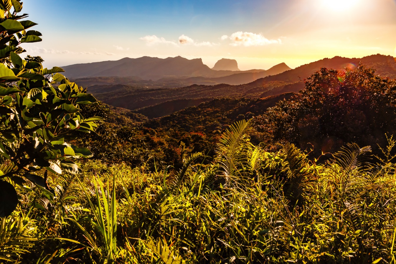 Vue panoramique des Gorges de Rivière Noire avec montagnes et végétation luxuriante au coucher du soleil