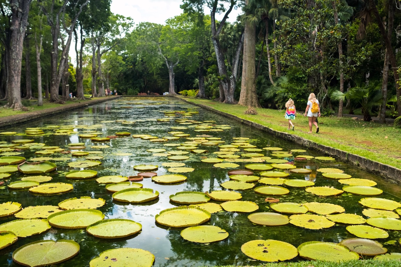 Jardin Pamplemousses à Maurice avec des nénuphars et des visiteurs se promenant le long d'un canal